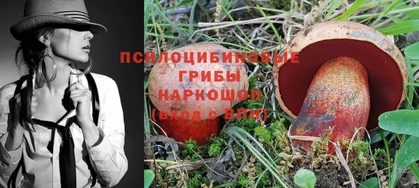 бошки Покров
