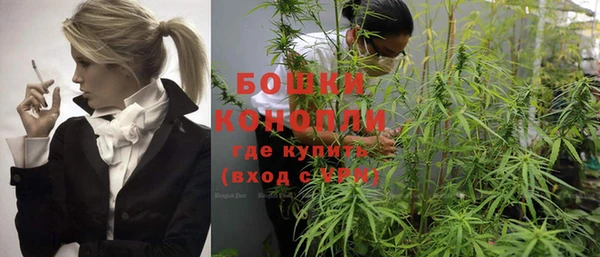 прущие крисы Пересвет