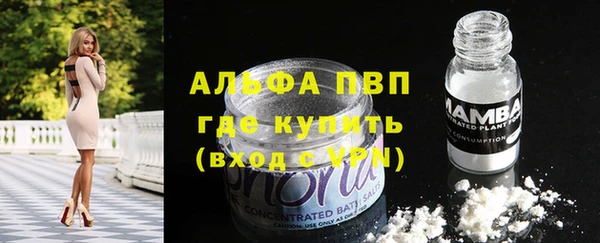 молекула духа Покачи